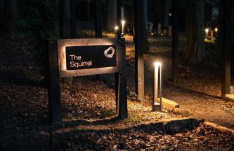 The Squirrel - Foto 19