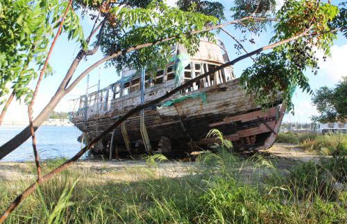 Oceanum Visum Spa Deluxe - Foto 59