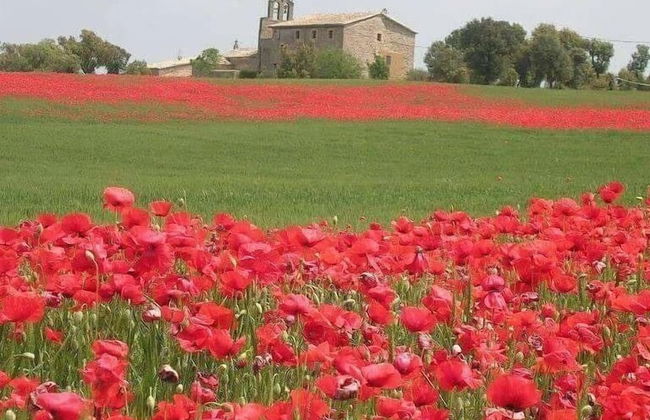 La Caseta de Sant Grau - Foto 29