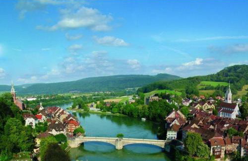 Apartment an der Schweizer Grenze - Foto 1