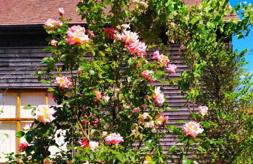 Chilsham Barn - Foto 36