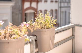 Buer City Apartment mit Balkon - Photo 30