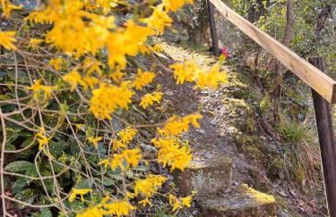 Apartment in Zell an der Mosel - Foto 14