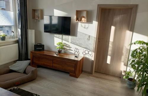 HARZ-PFOTE familien- und hundefreundliche Ferienwohnung - Foto 1