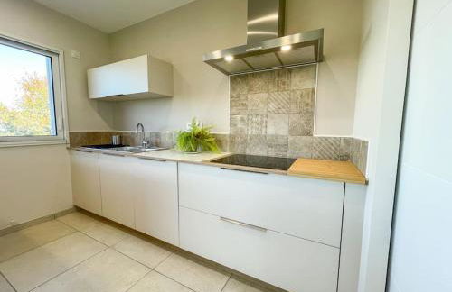 LaDolceVita123 SPA SAUNA intérieurs, terrasse couverte Monistrol sur Loire - Foto 26