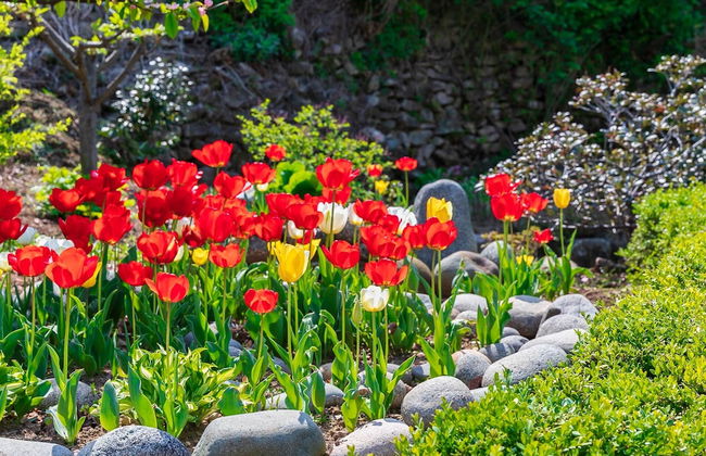 Namhae Gagopa Pension - Foto 53