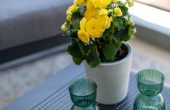 Aelia-Smart central beach flat - Foto 11