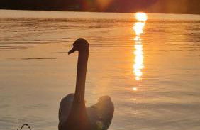 Seeblick Hausboot Sambesi - Foto 3