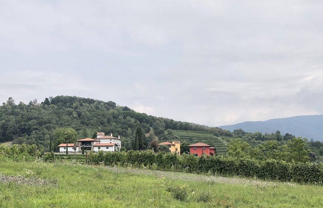 Il Roncal Wine Resort - Foto 37