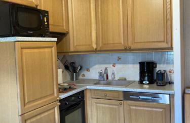 Appartement dans chalet typiquement savoyard au pied des pistes - Foto 4