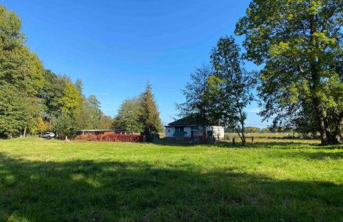 Spreewaldhaus Raddusch, Boote- Fahrräder gratis - Foto 14