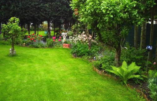 Alteschule15 - Foto 4