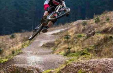 Kookaburra Cottage - Foto 33