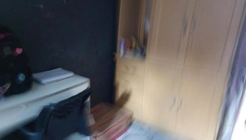 Mariana Ferreira Pereira - Foto 4