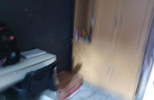 Mariana Ferreira Pereira - Foto 4