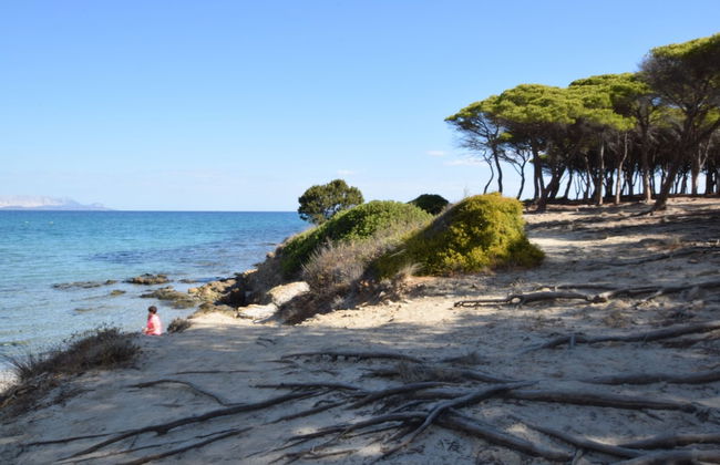 Casa San Lorenzo With Garden In Budoni - Photo 13
