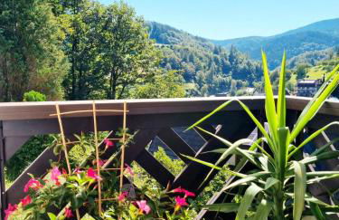 Ferienwohnung Panter- Traumaussicht im Schwarzwald - Foto 13