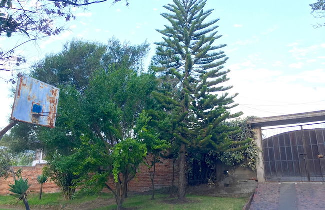 Nispero Country House - Foto 26