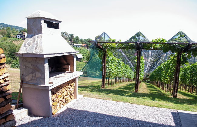 Vineyard Cottage Stepan - Foto 28