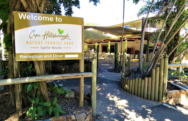 Cape Hillsborough Nature Tourist Park - Foto 31