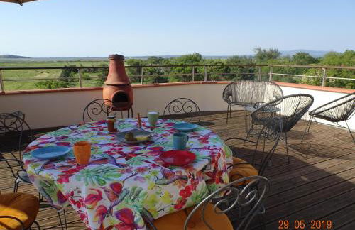 Domaine du Petit Tournebelle - Foto 13