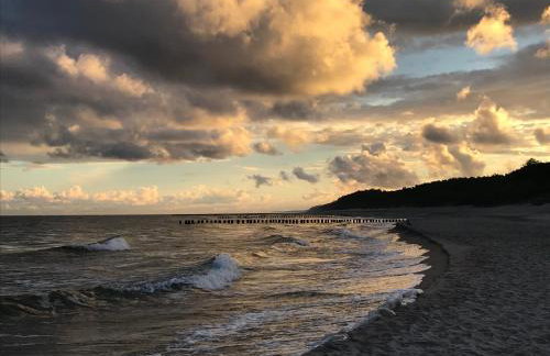 Lux Apartamenty - Rybitwa - Foto 22