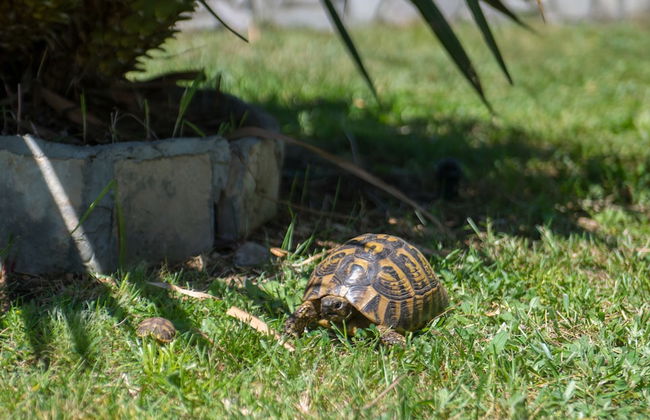 Villa Buna Breeze - Foto 54