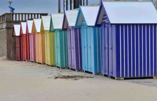 Appartement au gré des bulles - Foto 15