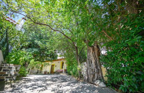 Small Villa Gerani - Photo 29