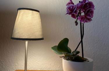 Haus Jenny Wohnung E1 mit Terrasse - Photo 25