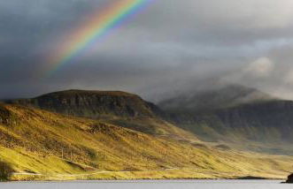 Storr Apartments - Foto 67