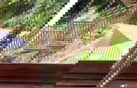 Moringa Villa - Foto 19