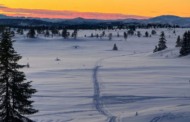 Modern Mountain Cabin - 3 Bedrooms - Sleeps 7 - Foto 32