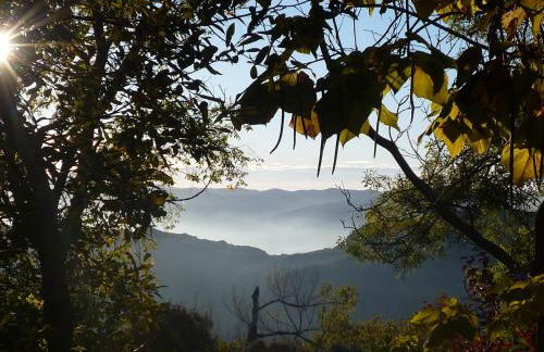 Cortijo Prado Toro - Foto 17