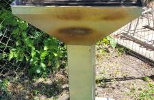 Zum Kranich - Foto 37