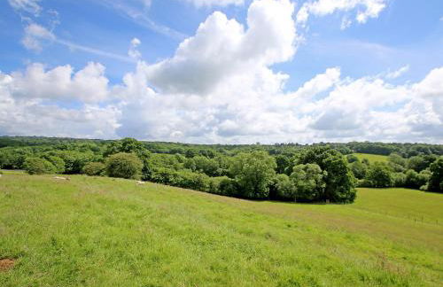 Cherry Pip - Foto 10