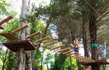 Casa Monte Los Peñasquitos - Photo 38