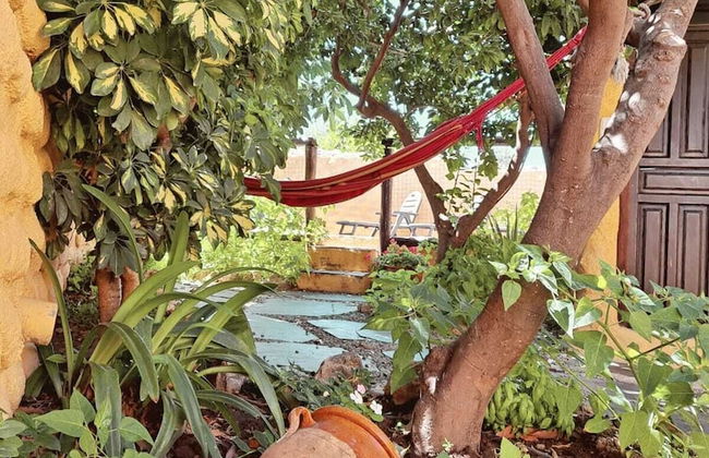 Casas Amaro - Foto 52