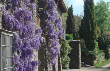 Cortijo Prado Toro - Foto 19