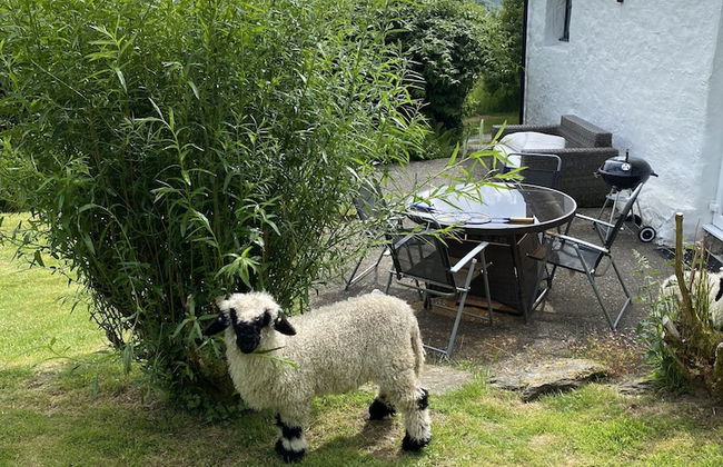 Impeccable 2-bed Cottage Near Betws y Coed - Foto 20