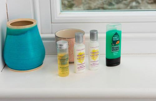 Tropical Gardens 1 bed cottage Central Newlyn - Photo 23