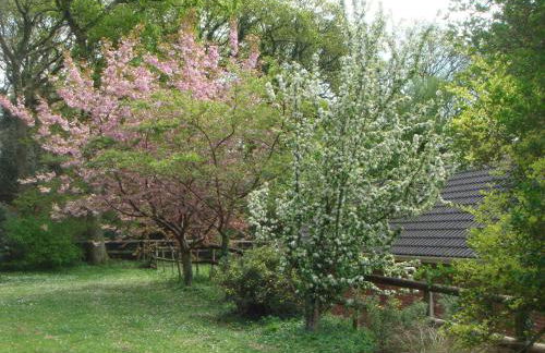 Yellowham Farm, Dorchester - Photo 7