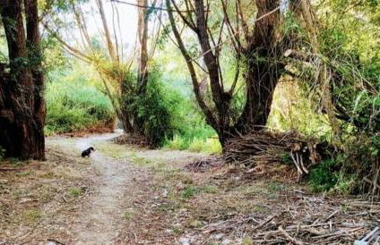 MAIN SQUARE Apartments - Photo 49