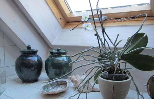 Ferienwohnung-Spessart - Foto 6