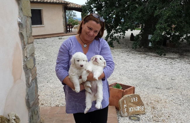 Poggio Al Vento - Photo 43