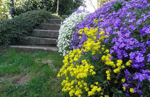 Ferienwohnung Schneider - Foto 12
