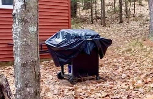 Camp Deloia - Foto 16