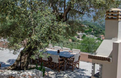 Alexandras's Mansion - Photo 78