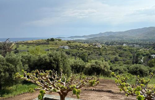 Villa Esperia - Foto 11