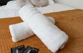 Appartement de charme Toulouse nord - Photo 3